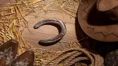 Black Horse Shoe