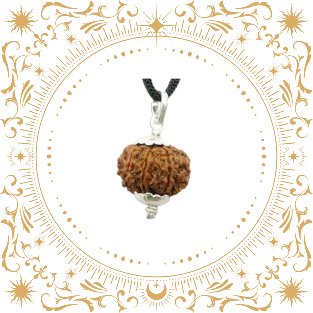 8 Mukhi Rudraksha (Nepal) Original
