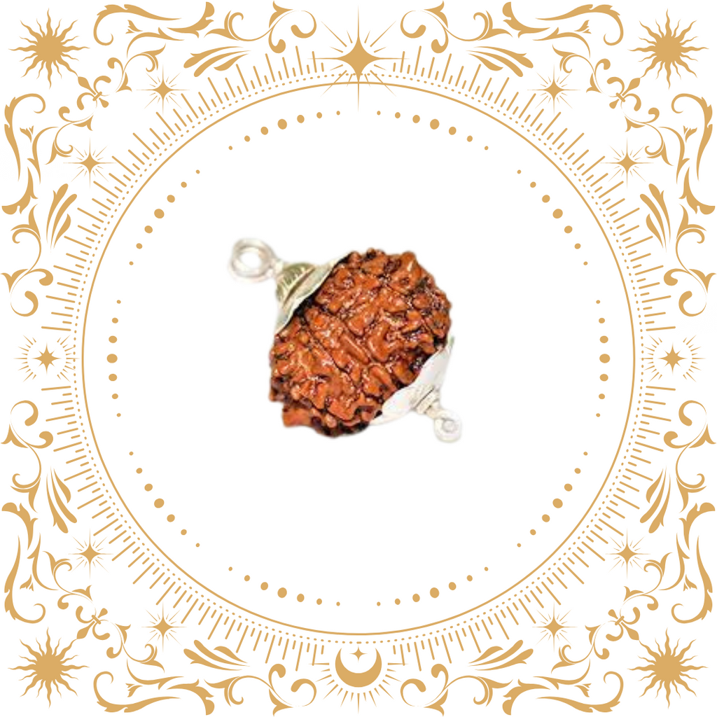 9 Mukhi Rudraksha (Nepal) Original