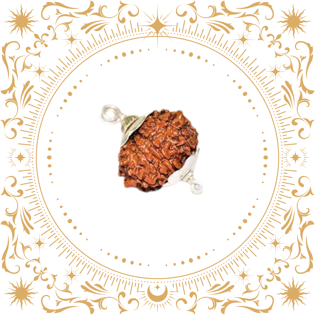 9 Mukhi Rudraksha Original (Nepal)
