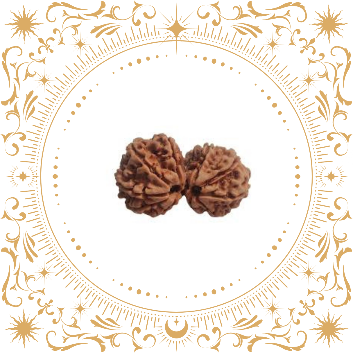 Gauri Shankar Rudraksha