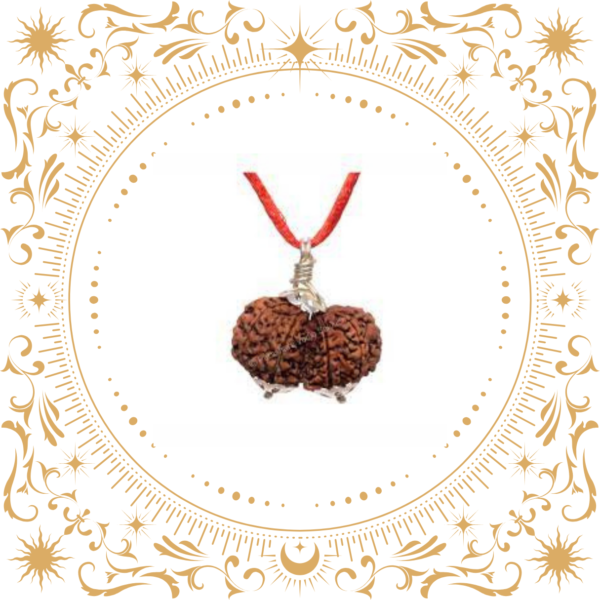 Gauri Shankar Rudraksha