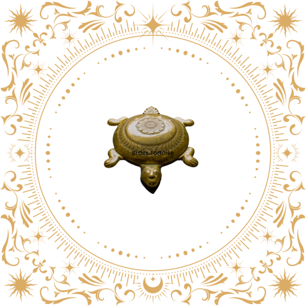 Brass Tortoise